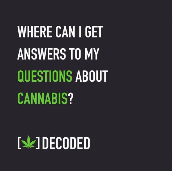 cannabis decoded